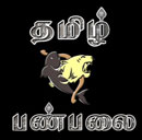Tamil Panpalai Radio